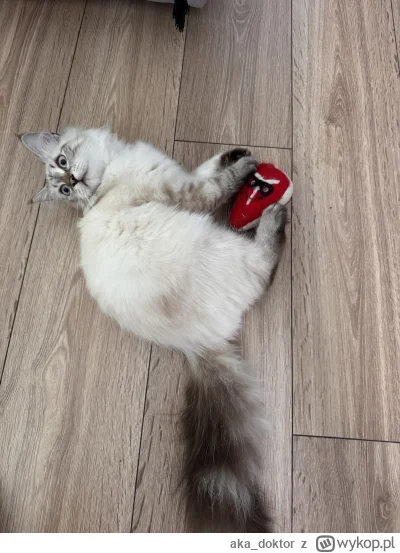 akadoktor - @mariakiribati: poznaj Jadzię ;)