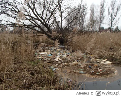 Aleale2 - #rzeka Śmieci na warcie gmina Myszków
