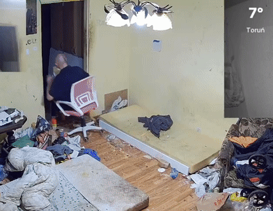 bizzi0801 - #danielmagical #patostreamy