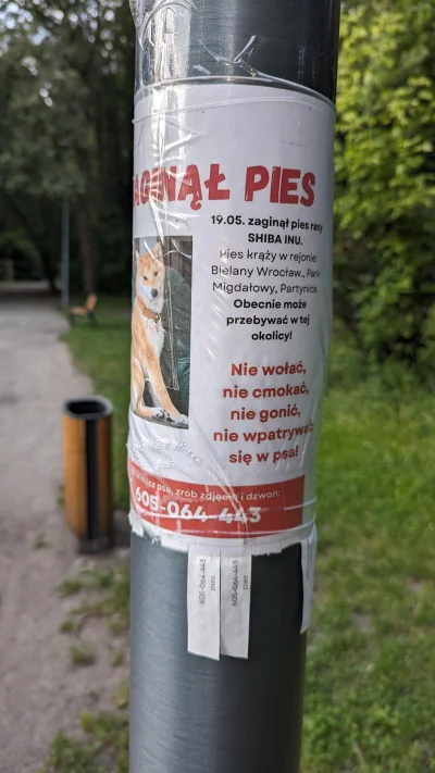 Kutang-Pan - Jakbyście zobaczyli tego psa, to nie patrzcie się na niego xDD
#wroclaw ...