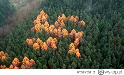 Atraktor - Niemcy mieli coś podobnego ( ͡° ͜ʖ ͡°)