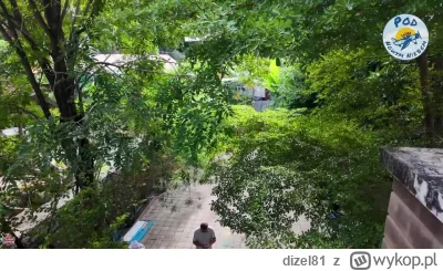 dizel81 - Plastikom rzekomo prąd odłączyli w Babalu bo rachunek przez poprzedniego na...