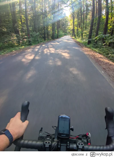 qbicone - 452 878 + 50 = 452 928

Taki typowy wakacyjny piątek

#rowerowyrownik #rowe...