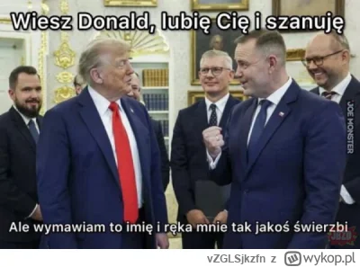 vZGLSjkzfn - #polityka