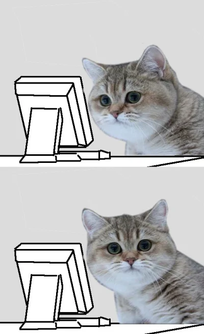 MechanicznyTurek - #eurowizja