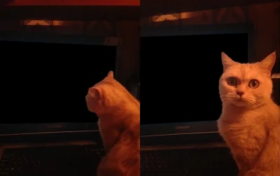 LordDarthVader - @Zblizeniowy: masz może nie masz w kolekcji: