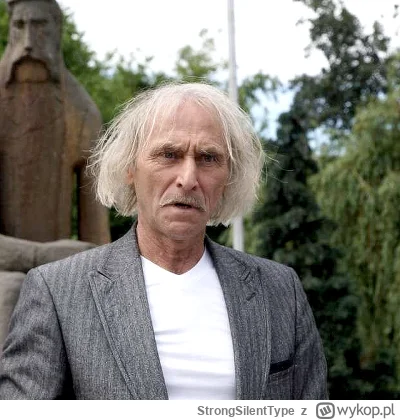 StrongSilentType - #mecz