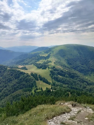 PorkaTurbo - @PorkaTurbo: