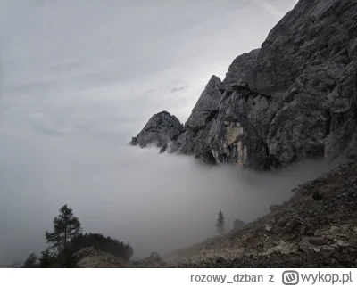 rozowy_dzban - @kyle8 u mnie też była :3