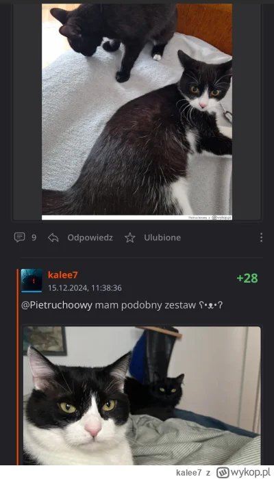 kalee7 - @Rad-X karuzela śmiechu ʕ•ᴥ•ʔ