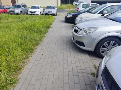 Yelonek - @Kamokamo: Co? Widzisz tu samochody zaparkowane na chodniku i trawniku? Chy...