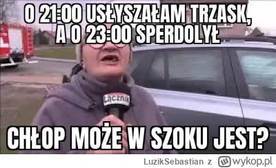 LuzikSebastian