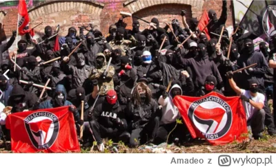 Amadeo - Nadciąga miłość i tolerancja - czego faszystowski prawaku nie rozumiesz? ( ͡...