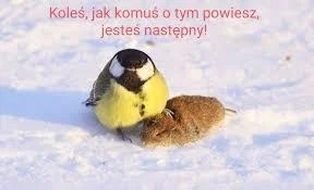 thelasttomatointhe_world - @asdfghjkl: @moll