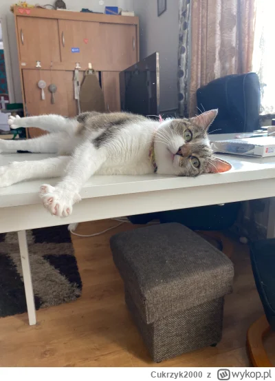 Cukrzyk2000 - @Zmorka: Dolores (ʘ‿ʘ)