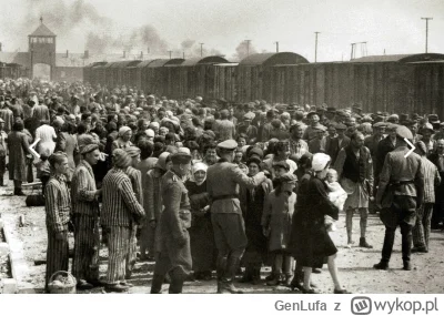 GenLufa - Żydzi spędzeni do obozów w trakcie 2 wojny światowej
#izrael