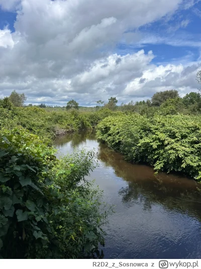 R2D2zSosnowca - @R2D2zSosnowca Buram River tworzy tu niemałe rozlewisko które jest w ...