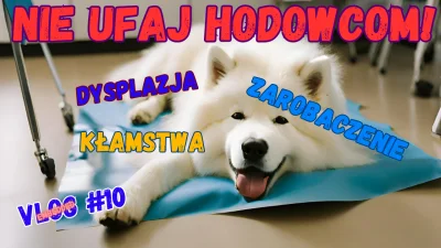 mikandrzej - Przestroga dla osób planujących zakup rasowego psa z hodowli 😉 U nas po...