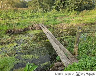 DopraRypa - Tymczasem mostki nad Uherką: