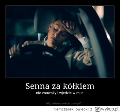 niemczarek_owiecki - #hanuszki #f1 #czarnyhumor