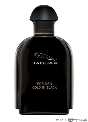 M13X - #perfumybiedaka

Wpis nr 19.

Jaguar Gold in Black for Men

https://www.fragra...