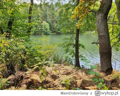 MamDobreGeny - Spierdotrip wokół jeziora to huopska czy oskarska rzecz? 
#przegryw