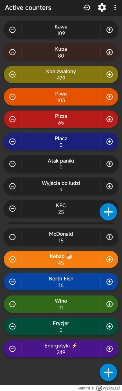 Sumiru - Podsumowanie roku 2024. 9 razy tylko z kimś spotkałem przez cały rok. ( ͡º ͜...