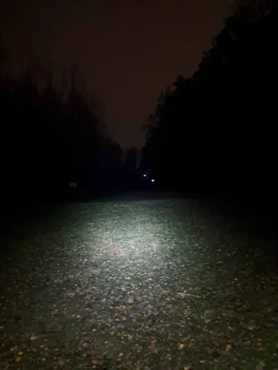 eugene-ysaye - wieczornyj #spierdotrip w lesie