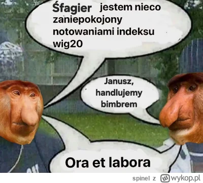 spinel - #gielda #nosacz #polak