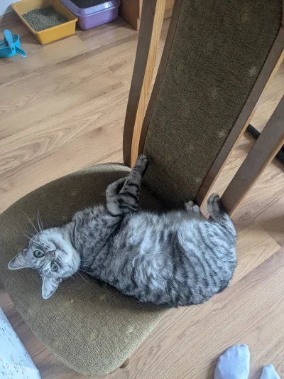 b0dyload - @b0dyload: a Lusia otwarta na takie akcje, bezdusznik :D