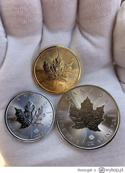 thoorgal - Trzej muszkieterowie 
#zloto #srebro i #platyna

Platyna najmniejsza 

#me...