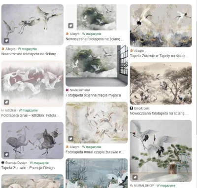 tabula_okrasa - @Megalogin: