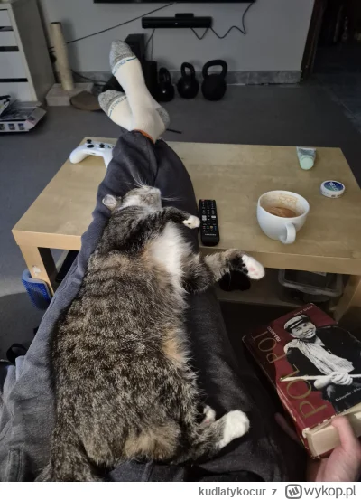 kudlatykocur - Idealna niedziela #pokazkota