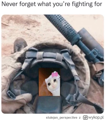 stulejan_perspective