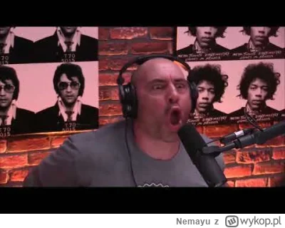 Nemayu - @Kryspin013: