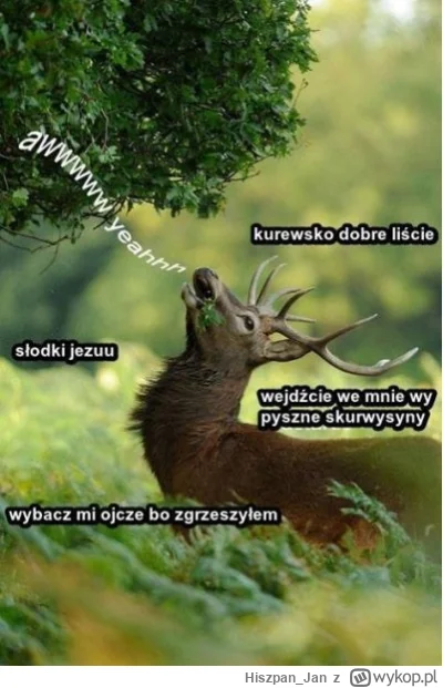 Hiszpan_Jan - @Wrrronika: