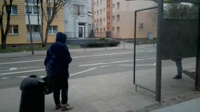 Wiskoler_double - #szczecin #oknonaprzystanek
Pan Menel dziś lekko tylko zainteresowa...