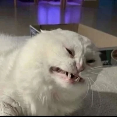 ada_lovelace - @Graner: hejo nocniarzu