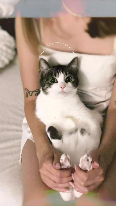 b0dyload - Frania upamiętniona :D
#koty #pokazkota