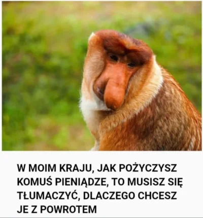 PrawdziwyMongolzMongolii - #heheszki #memy #takaprawda