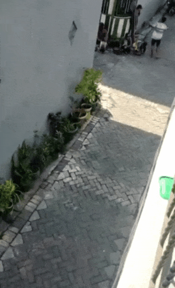 WujaTHC - #smiesznypiesek #malpycontent #heheszki