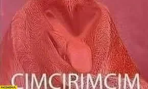 cielak44 - @bblp: amator 
U mnie bez gry wstępnej 
Od razu zaczynamy od