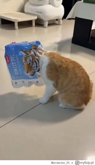 Merdarion_PL - #mecz #dolnoslaskitygrys
Zanim nie będzie 3-2 to nie opłaca mi się lic...