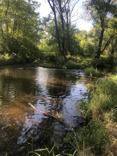 ChlopoRobotnik2137 - @Pentylion bardzo mało wody w rzece
Myślałem żeby tu kajakiem po...