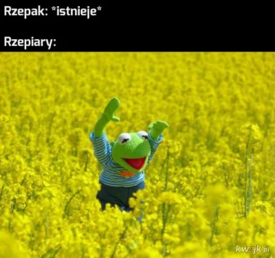 LillXte - Juz za jakiś miesiąc witaminki będą mi gnieść rzepak xD Powiedzcie co jest ...