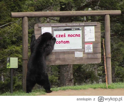 annlupin - cześ nom