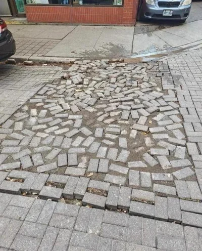 cheeseandonion - #gotoweszefie