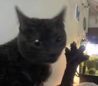 dywergent - a liczba jego cztery