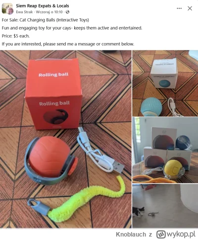 Knoblauch - #raportzpanstwasrodka 
Plastiki rozkręcają biznes.