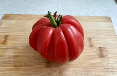 asdfghjkl - Konsumpcja pierwszego pomidora odmiany marmande. Zebrany dwa dni temu. W ...